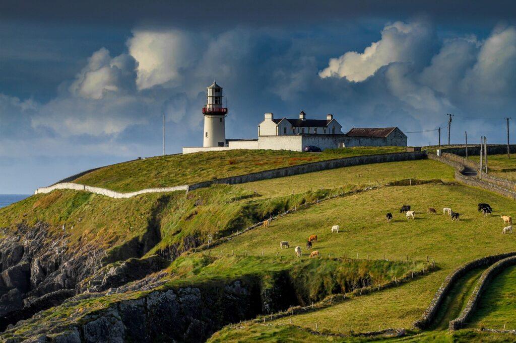 lighthouse, nature, ireland, galley head, view, cows, sky, dramatic