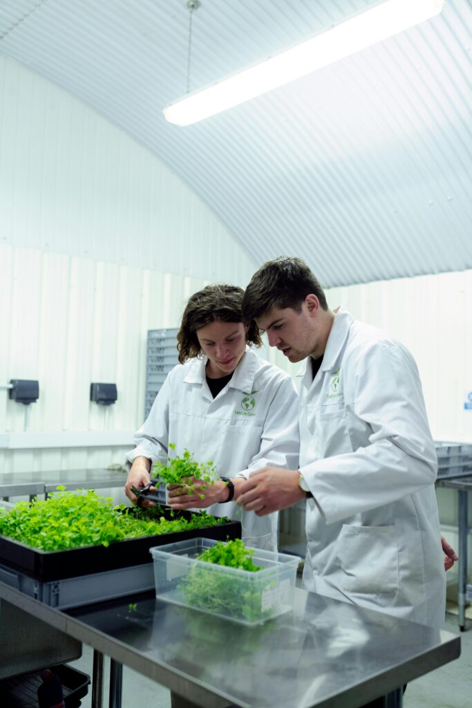 Two scientists working with plants in a controlled indoor farming laboratory setting.
